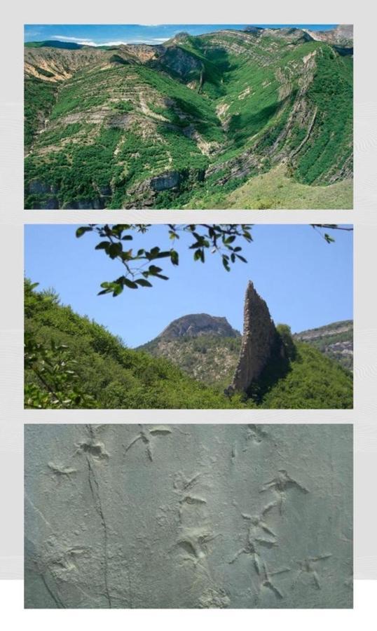 Les Glycines, Charmant Studio Au Calme Dans Batisse De Maitre Proche Du Centre Ville Parking Gratuit Динь-ле-Бен Экстерьер фото
